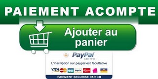 Bouton VERT Acompte paypal